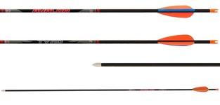 Avalon Arrows Carbon Tyro