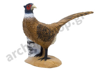 SRT Target 3D Pheasant