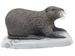 SRT Target 3D Coypu