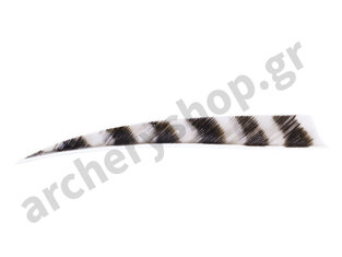 Trueflight Feathers 5" Shield RW Barred