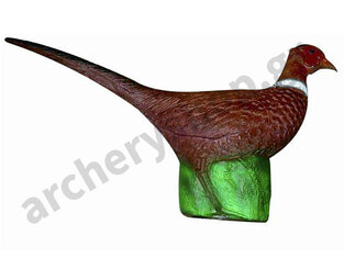 Eleven Target 3D Pheasant