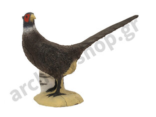 SRT Target 3D Black Pheasant