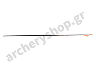 Easton Arrow PowerFlight