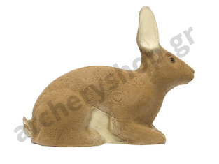 SRT Target 3D Rabbit