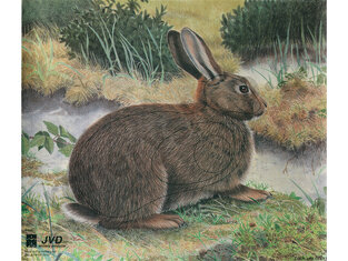 JVD Animal Face Rabbit