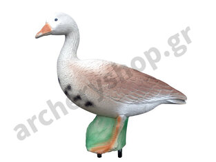 Eleven Target 3D Goose