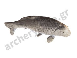 Eleven Target 3D Carp