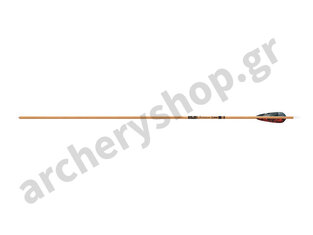 Gold Tip Arrow Fletched Traditional